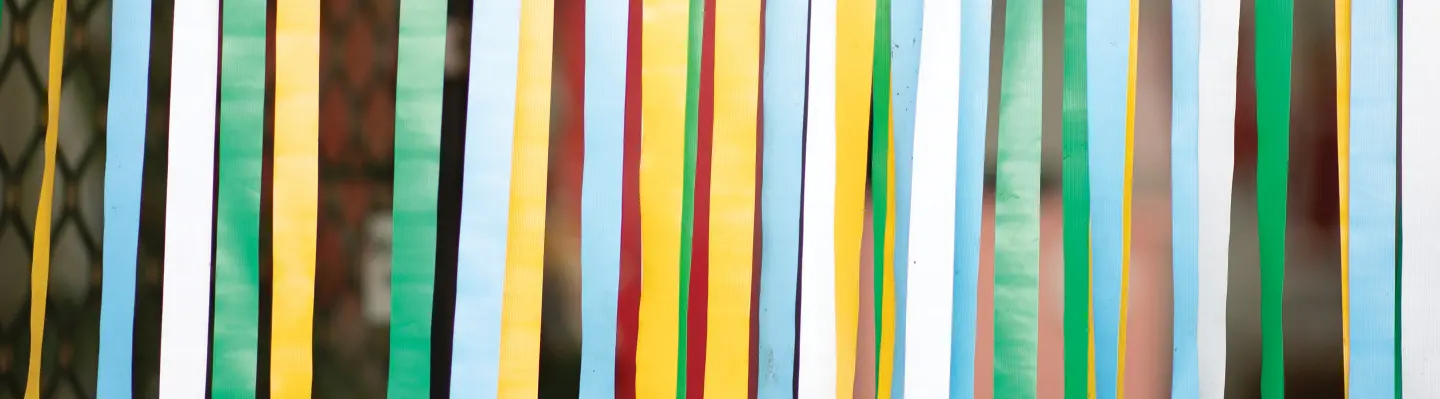 Plastic door net