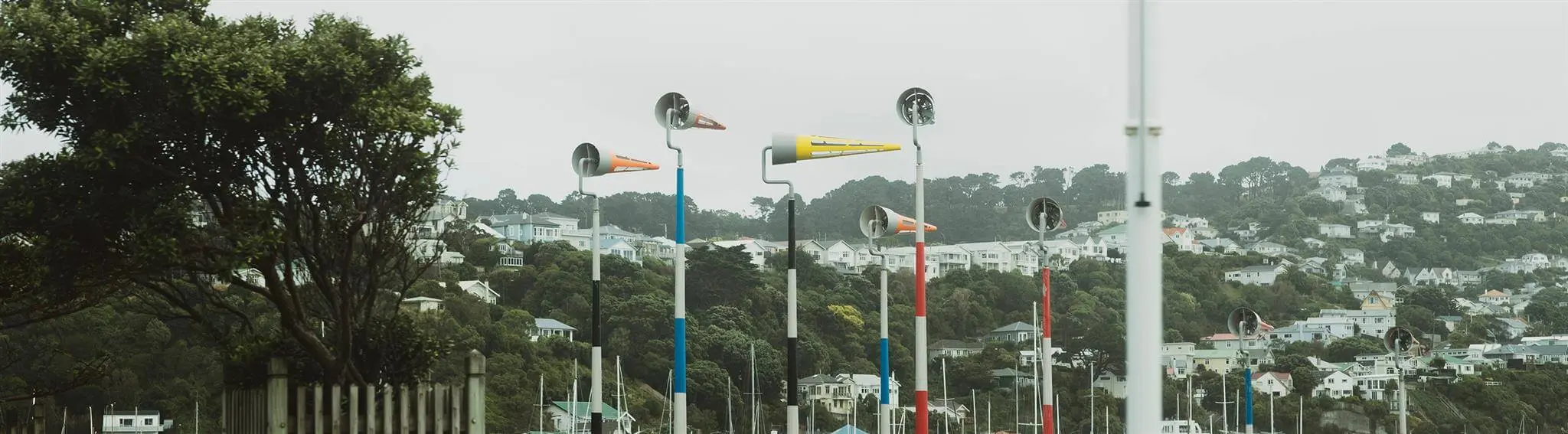wellington banner image 4