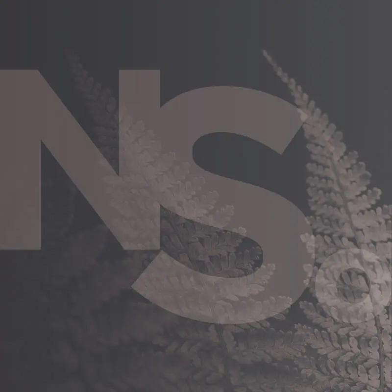 National Strategy Reboot website assets 0004 NS image