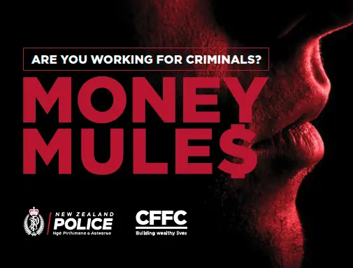 Money Mules booklet square